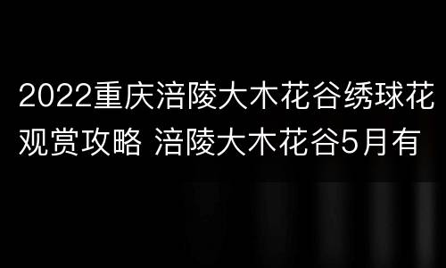 2022重庆涪陵大木花谷绣球花观赏攻略 涪陵大木花谷5月有什么花