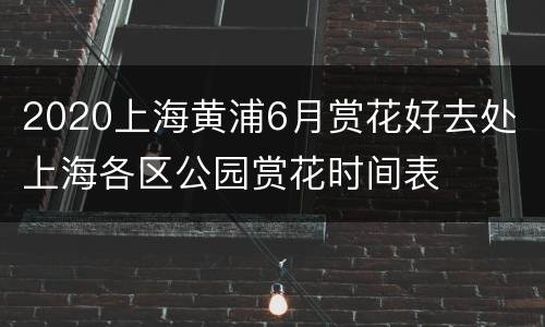 2020上海黄浦6月赏花好去处 上海各区公园赏花时间表
