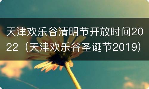 天津欢乐谷清明节开放时间2022（天津欢乐谷圣诞节2019）