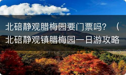 北碚静观腊梅园要门票吗？（北碚静观镇腊梅园一日游攻略）