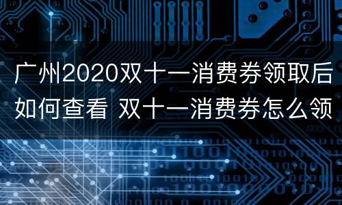 广州2020双十一消费券领取后如何查看 双十一消费券怎么领