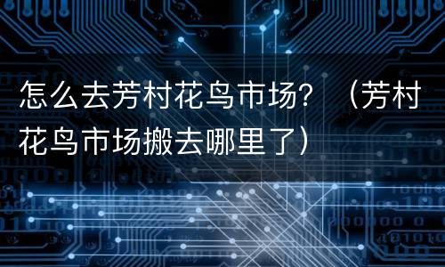 怎么去芳村花鸟市场？（芳村花鸟市场搬去哪里了）