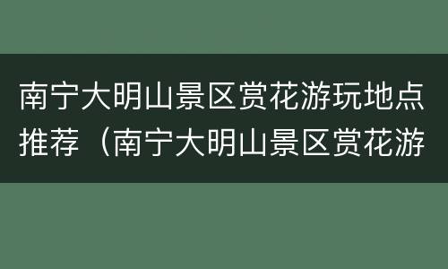 南宁大明山景区赏花游玩地点推荐（南宁大明山景区赏花游玩地点推荐一下）