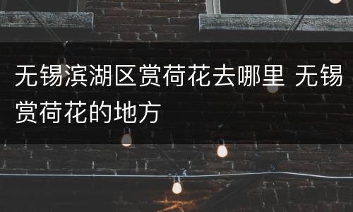 无锡滨湖区赏荷花去哪里 无锡赏荷花的地方