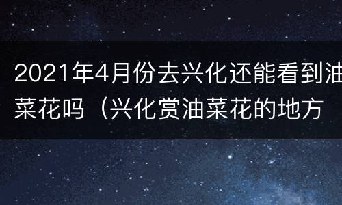 2021年4月份去兴化还能看到油菜花吗（兴化赏油菜花的地方）