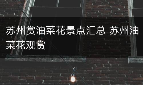 苏州赏油菜花景点汇总 苏州油菜花观赏