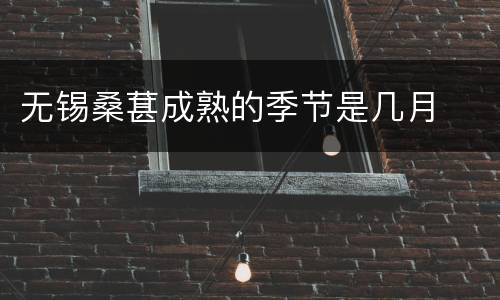 无锡桑葚成熟的季节是几月