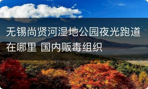 无锡尚贤河湿地公园夜光跑道在哪里 国内贩毒组织