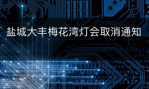 盐城大丰梅花湾灯会取消通知