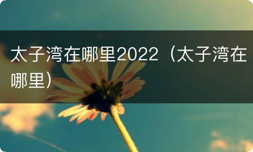 太子湾在哪里2022（太子湾在哪里）