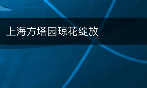 上海方塔园琼花绽放