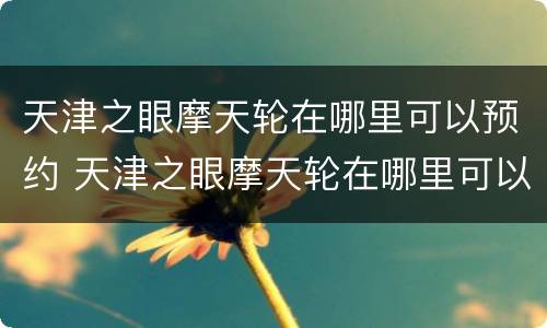 天津之眼摩天轮在哪里可以预约 天津之眼摩天轮在哪里可以预约