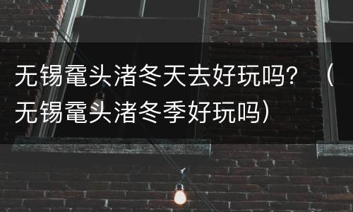 无锡鼋头渚冬天去好玩吗？（无锡鼋头渚冬季好玩吗）
