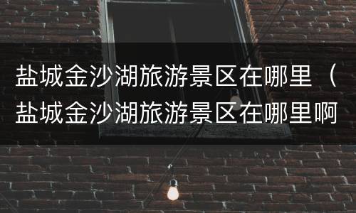 盐城金沙湖旅游景区在哪里（盐城金沙湖旅游景区在哪里啊）