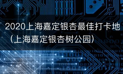2020上海嘉定银杏最佳打卡地（上海嘉定银杏树公园）