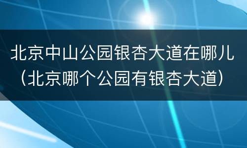 北京中山公园银杏大道在哪儿（北京哪个公园有银杏大道）