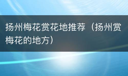 扬州梅花赏花地推荐（扬州赏梅花的地方）