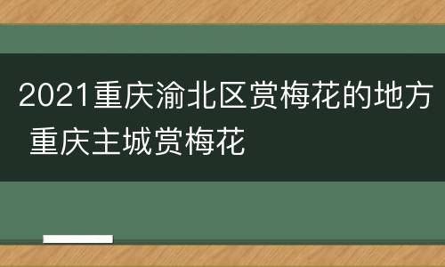 2021重庆渝北区赏梅花的地方 重庆主城赏梅花