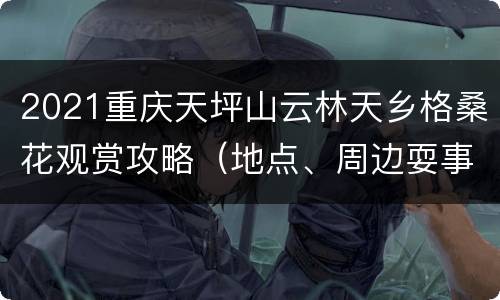 2021重庆天坪山云林天乡格桑花观赏攻略（地点、周边耍事）