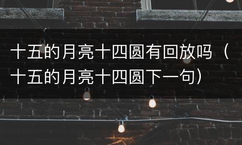 十五的月亮十四圆有回放吗（十五的月亮十四圆下一句）