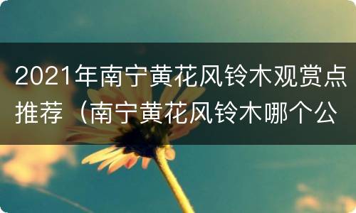 2021年南宁黄花风铃木观赏点推荐（南宁黄花风铃木哪个公园有）
