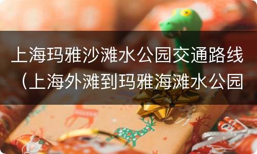上海玛雅沙滩水公园交通路线（上海外滩到玛雅海滩水公园多远）