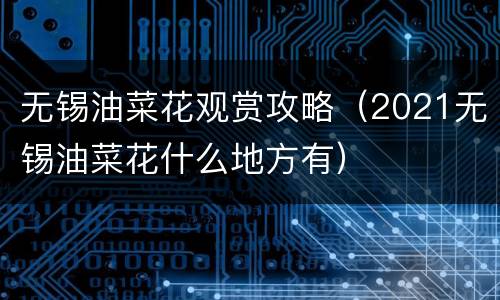 无锡油菜花观赏攻略（2021无锡油菜花什么地方有）