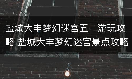 盐城大丰梦幻迷宫五一游玩攻略 盐城大丰梦幻迷宫景点攻略