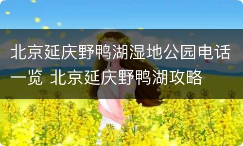 北京延庆野鸭湖湿地公园电话一览 北京延庆野鸭湖攻略