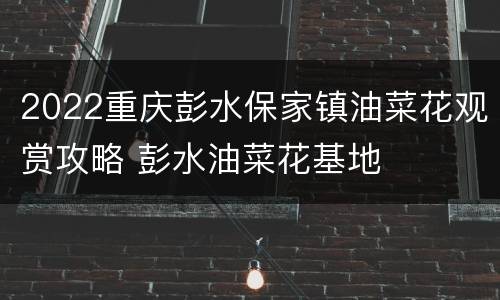 2022重庆彭水保家镇油菜花观赏攻略 彭水油菜花基地