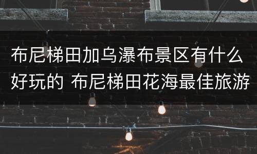 布尼梯田加乌瀑布景区有什么好玩的 布尼梯田花海最佳旅游季节