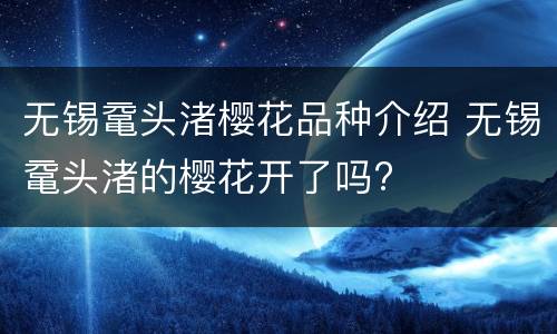 无锡鼋头渚樱花品种介绍 无锡鼋头渚的樱花开了吗?