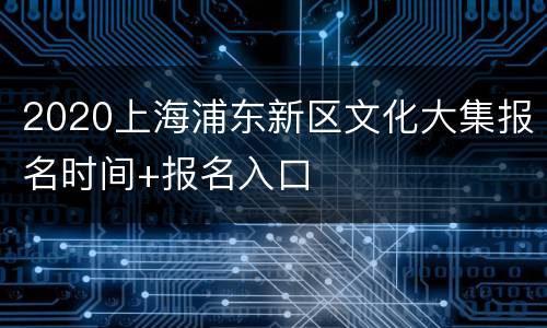 2020上海浦东新区文化大集报名时间+报名入口