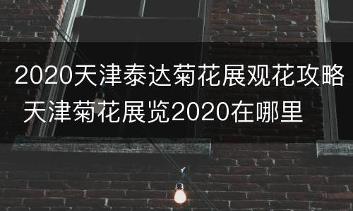 2020天津泰达菊花展观花攻略 天津菊花展览2020在哪里