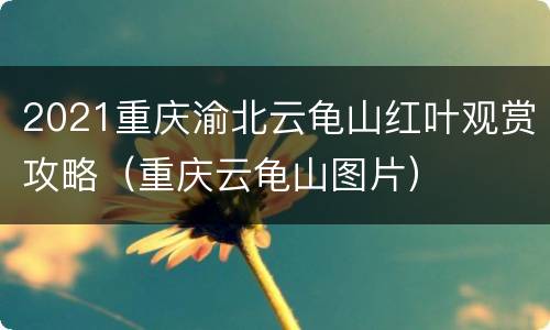 2021重庆渝北云龟山红叶观赏攻略（重庆云龟山图片）