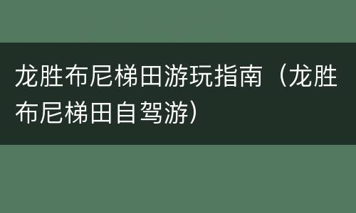 龙胜布尼梯田游玩指南（龙胜布尼梯田自驾游）