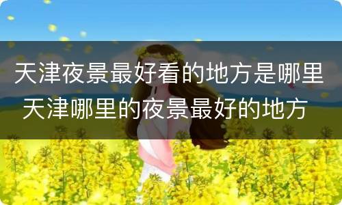 天津夜景最好看的地方是哪里 天津哪里的夜景最好的地方