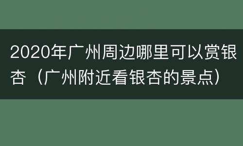 2020年广州周边哪里可以赏银杏（广州附近看银杏的景点）