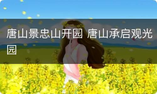 唐山景忠山开园 唐山承启观光园