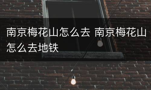 南京梅花山怎么去 南京梅花山怎么去地铁