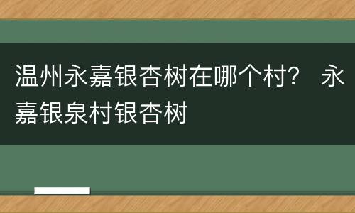 温州永嘉银杏树在哪个村？ 永嘉银泉村银杏树