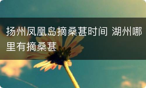 扬州凤凰岛摘桑葚时间 湖州哪里有摘桑葚