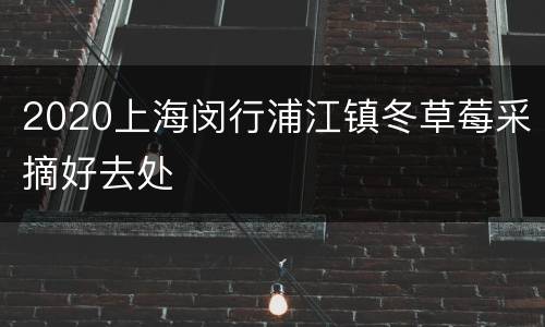 2020上海闵行浦江镇冬草莓采摘好去处