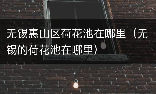 无锡惠山区荷花池在哪里（无锡的荷花池在哪里）