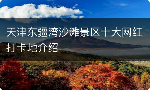天津东疆湾沙滩景区十大网红打卡地介绍