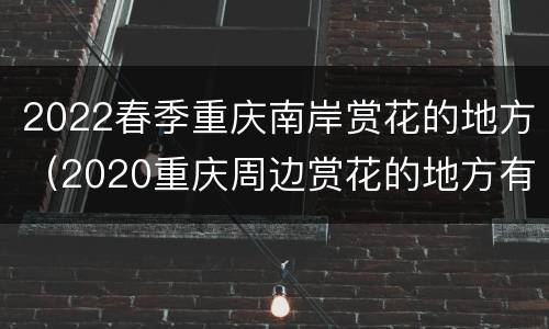 2022春季重庆南岸赏花的地方（2020重庆周边赏花的地方有哪些）