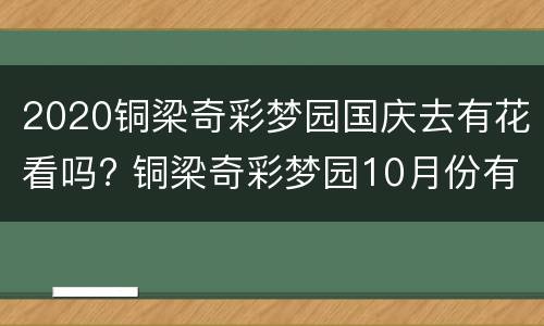 2020铜梁奇彩梦园国庆去有花看吗? 铜梁奇彩梦园10月份有花吗