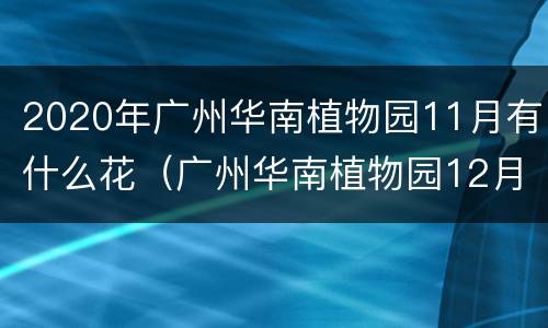 2020年广州华南植物园11月有什么花（广州华南植物园12月有什么花开呢）