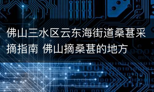 佛山三水区云东海街道桑葚采摘指南 佛山摘桑葚的地方
