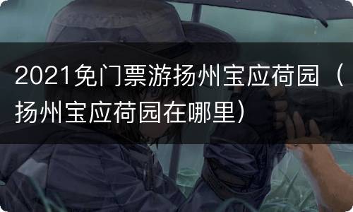 2021免门票游扬州宝应荷园（扬州宝应荷园在哪里）